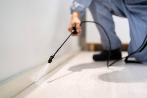 Licensed Pest Control service in Dyersville, IA - Show Me Pest Control