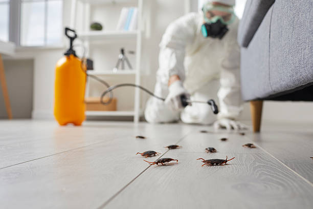 Commercial Kitchen Cockroach Control in Dyersville